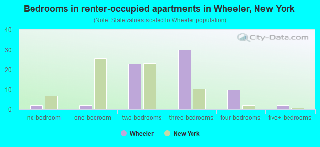 Bedrooms in renter-occupied apartments in Wheeler, New York