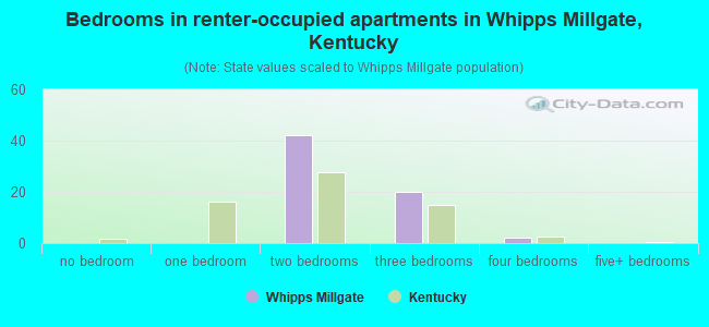 Bedrooms in renter-occupied apartments in Whipps Millgate, Kentucky
