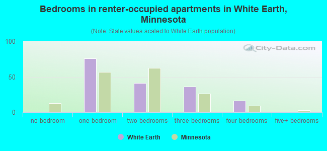 Bedrooms in renter-occupied apartments in White Earth, Minnesota