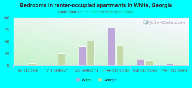 Bedrooms in renter-occupied apartments in White, Georgia