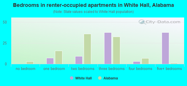 Bedrooms in renter-occupied apartments in White Hall, Alabama