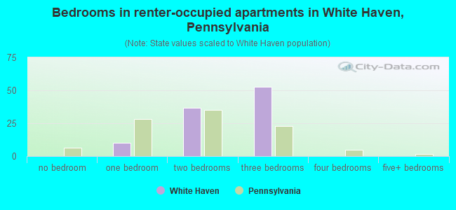 Bedrooms in renter-occupied apartments in White Haven, Pennsylvania