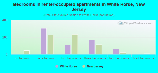 Bedrooms in renter-occupied apartments in White Horse, New Jersey