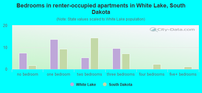 Bedrooms in renter-occupied apartments in White Lake, South Dakota