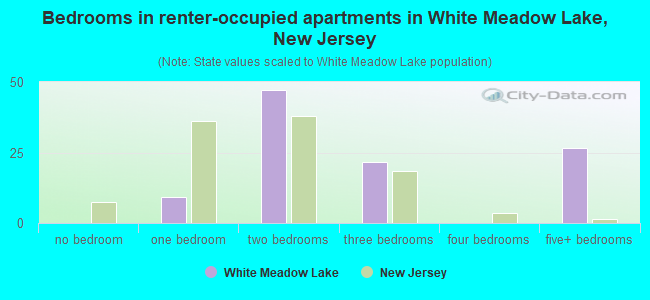 Bedrooms in renter-occupied apartments in White Meadow Lake, New Jersey