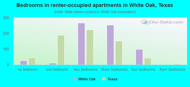Bedrooms in renter-occupied apartments in White Oak, Texas