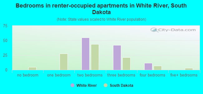Bedrooms in renter-occupied apartments in White River, South Dakota