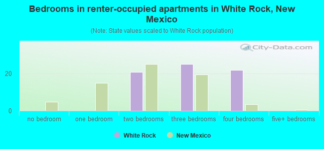 Bedrooms in renter-occupied apartments in White Rock, New Mexico