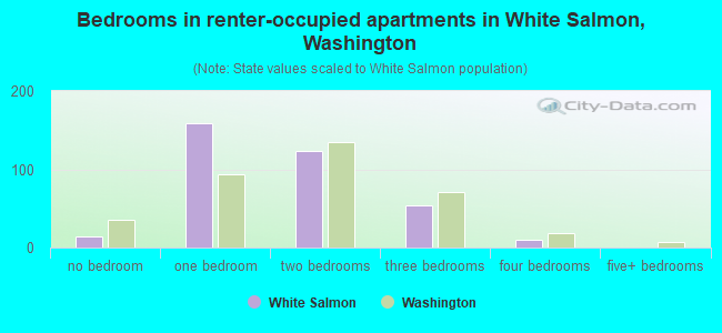 Bedrooms in renter-occupied apartments in White Salmon, Washington