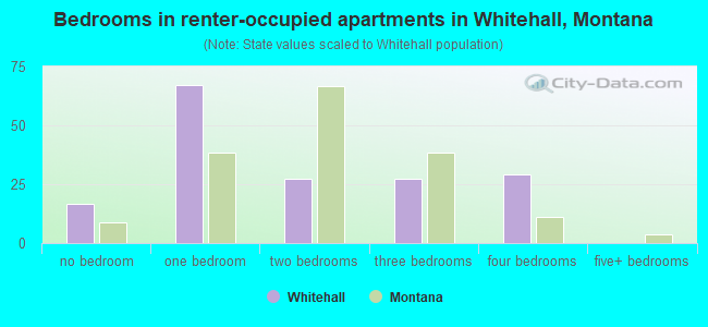 Bedrooms in renter-occupied apartments in Whitehall, Montana