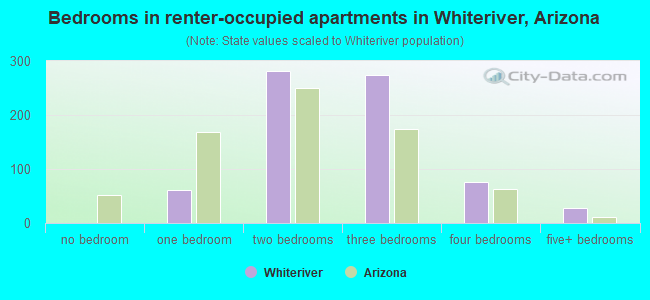 Bedrooms in renter-occupied apartments in Whiteriver, Arizona
