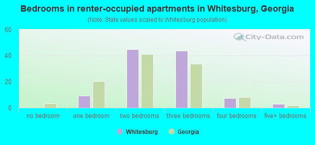 Bedrooms in renter-occupied apartments in Whitesburg, Georgia