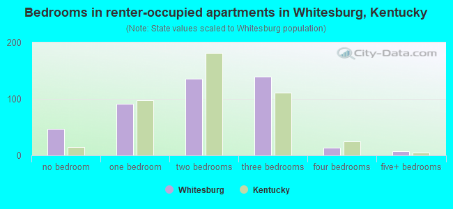 Bedrooms in renter-occupied apartments in Whitesburg, Kentucky