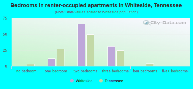 Bedrooms in renter-occupied apartments in Whiteside, Tennessee