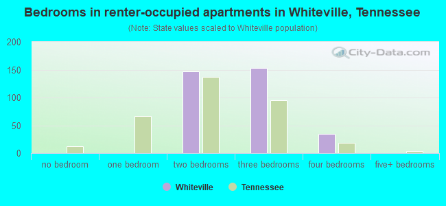 Bedrooms in renter-occupied apartments in Whiteville, Tennessee
