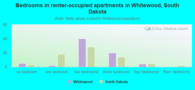 Bedrooms in renter-occupied apartments in Whitewood, South Dakota