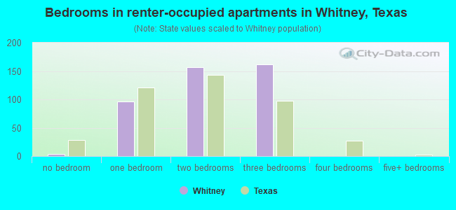 Bedrooms in renter-occupied apartments in Whitney, Texas