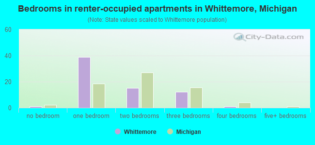 Bedrooms in renter-occupied apartments in Whittemore, Michigan
