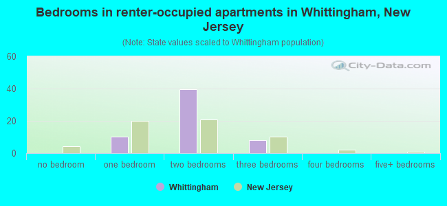Bedrooms in renter-occupied apartments in Whittingham, New Jersey