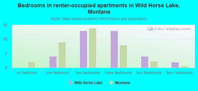 Bedrooms in renter-occupied apartments in Wild Horse Lake, Montana