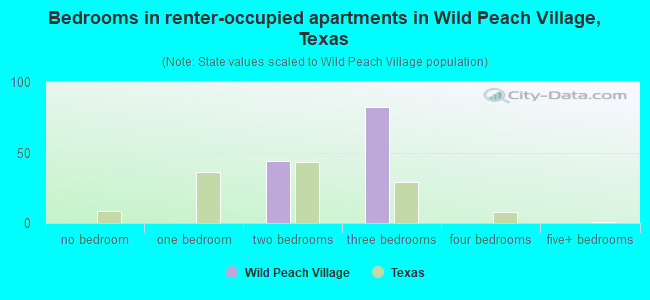 Bedrooms in renter-occupied apartments in Wild Peach Village, Texas