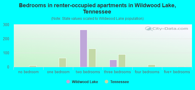 Bedrooms in renter-occupied apartments in Wildwood Lake, Tennessee