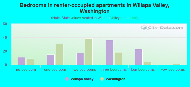 Bedrooms in renter-occupied apartments in Willapa Valley, Washington