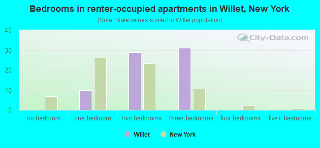 Bedrooms in renter-occupied apartments in Willet, New York
