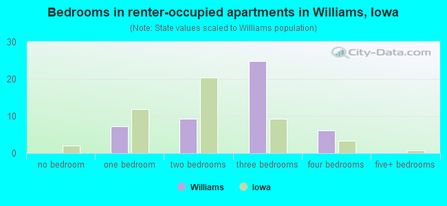 Bedrooms in renter-occupied apartments in Williams, Iowa