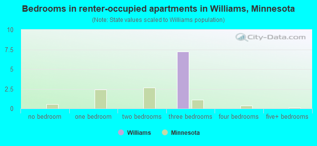 Bedrooms in renter-occupied apartments in Williams, Minnesota