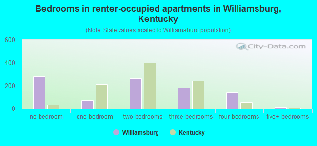 Bedrooms in renter-occupied apartments in Williamsburg, Kentucky