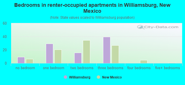 Bedrooms in renter-occupied apartments in Williamsburg, New Mexico