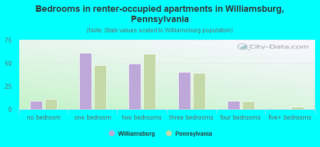 Bedrooms in renter-occupied apartments in Williamsburg, Pennsylvania
