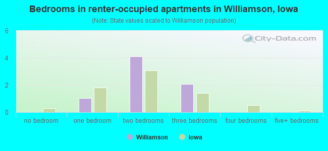 Bedrooms in renter-occupied apartments in Williamson, Iowa