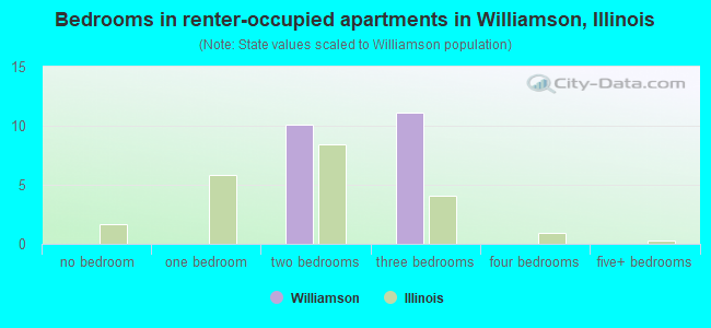 Bedrooms in renter-occupied apartments in Williamson, Illinois