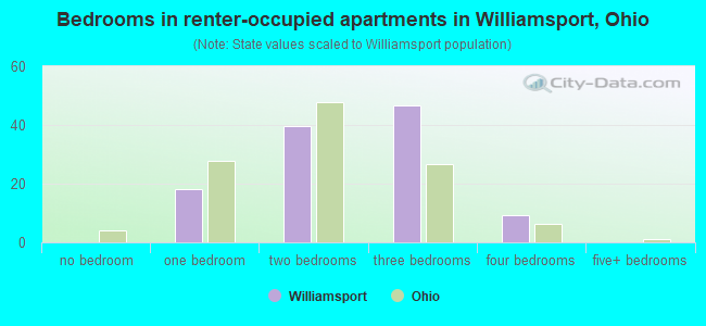 Bedrooms in renter-occupied apartments in Williamsport, Ohio
