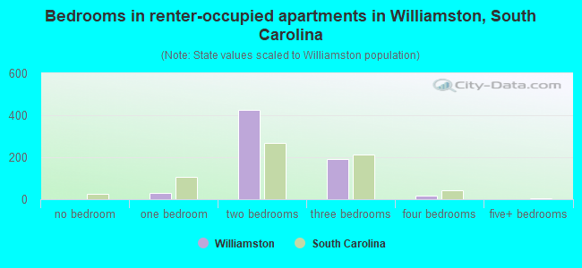 Bedrooms in renter-occupied apartments in Williamston, South Carolina