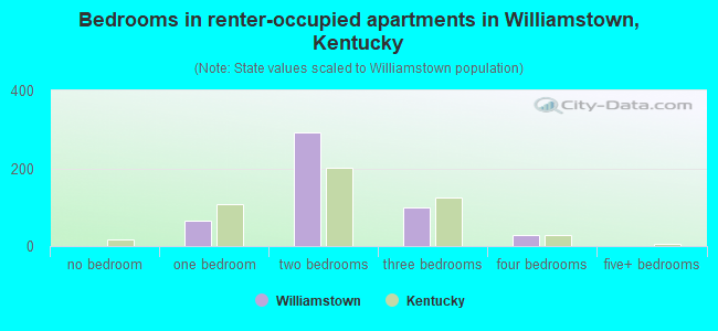 Bedrooms in renter-occupied apartments in Williamstown, Kentucky