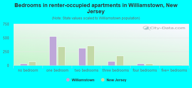 Bedrooms in renter-occupied apartments in Williamstown, New Jersey