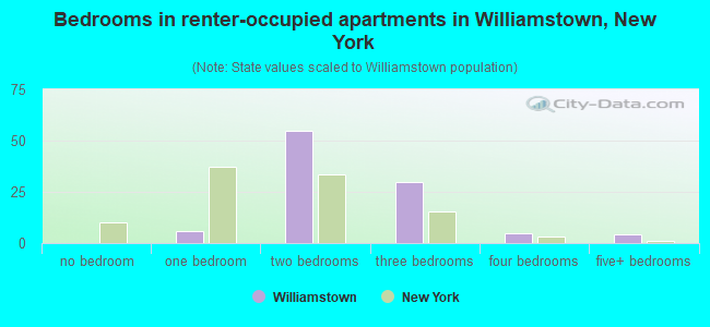 Bedrooms in renter-occupied apartments in Williamstown, New York