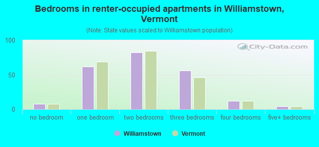 Bedrooms in renter-occupied apartments in Williamstown, Vermont