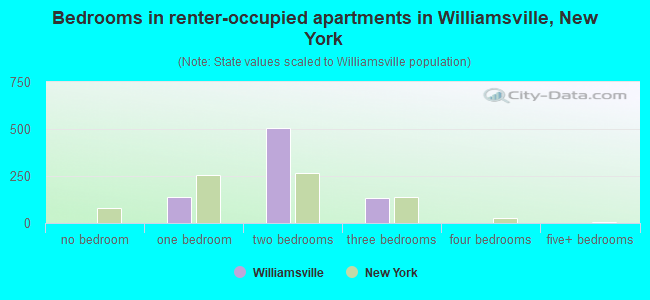 Bedrooms in renter-occupied apartments in Williamsville, New York
