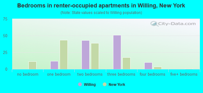Bedrooms in renter-occupied apartments in Willing, New York