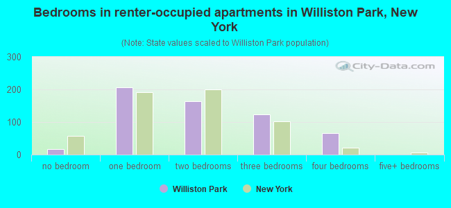 Bedrooms in renter-occupied apartments in Williston Park, New York