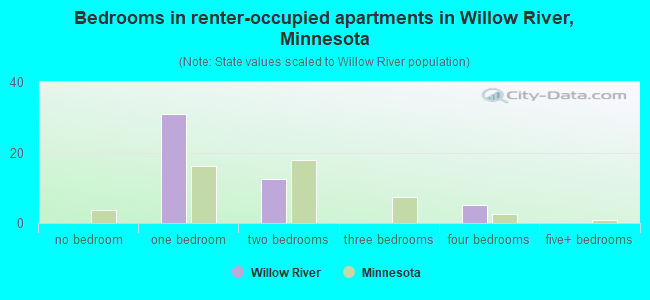 Bedrooms in renter-occupied apartments in Willow River, Minnesota