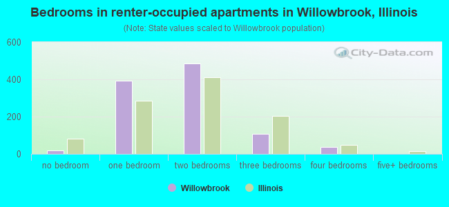 Bedrooms in renter-occupied apartments in Willowbrook, Illinois