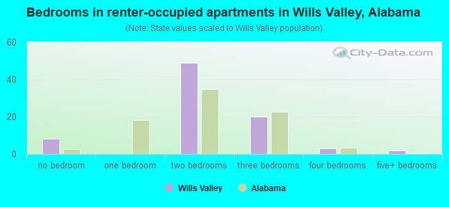 Bedrooms in renter-occupied apartments in Wills Valley, Alabama