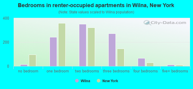 Bedrooms in renter-occupied apartments in Wilna, New York