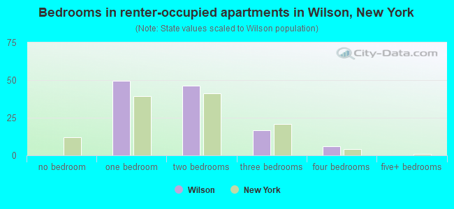 Bedrooms in renter-occupied apartments in Wilson, New York