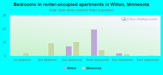 Bedrooms in renter-occupied apartments in Wilton, Minnesota